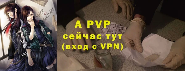 дурь Ельня