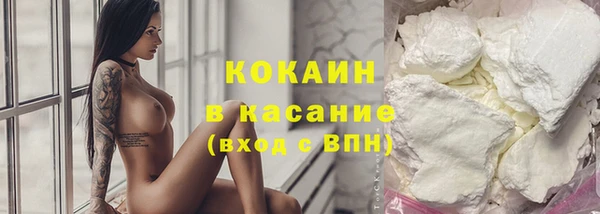 стафф Елизово