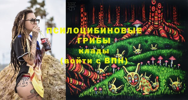 стафф Елизово