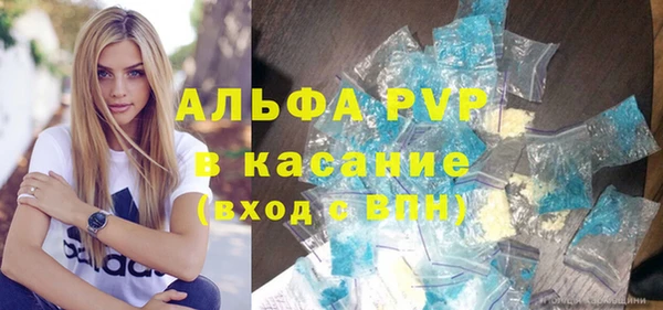 стафф Елизово
