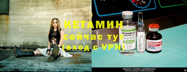 дурь Ельня