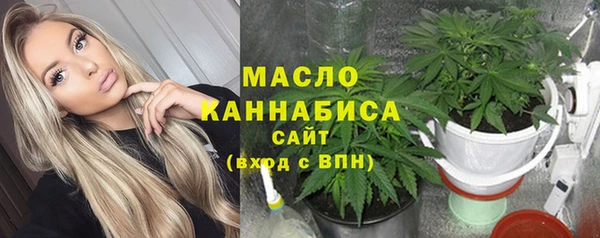 дурь Ельня