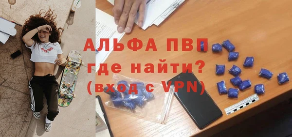 стафф Елизово