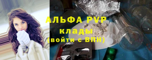 стафф Елизово