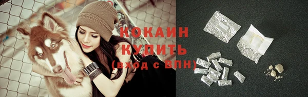 дурь Ельня